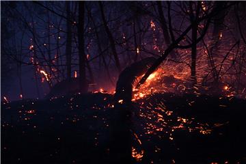 AUSTRALIA BUSHFIRES