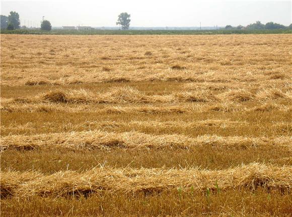 Prosvjed radnika vinkovačkoga PIK-a zbog raspolaganja državnim poljoprivrednim zemljištem