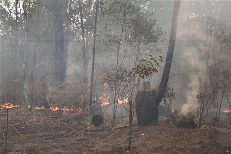 AUSTRALIA BUSHFIRES