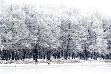 U snježnim padalinama u Francuskoj jedna osoba smrtno stradala, 200.000 domova bez električne energije