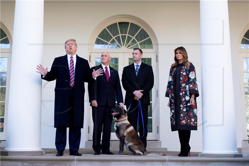 USA TRUMP CONAN ARMY DOG