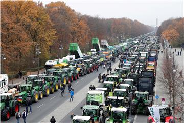 Thousands of farmers demonstrate in Berlin