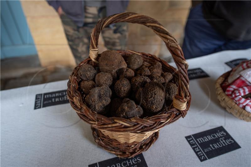 FRANCE GASTRONOMY TRUFFELS