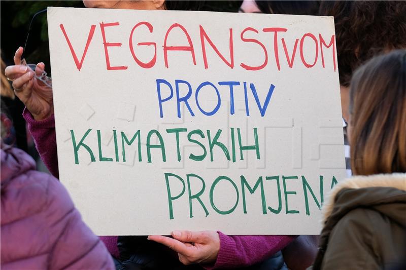 Prosvjed mladih FridaysForFuture