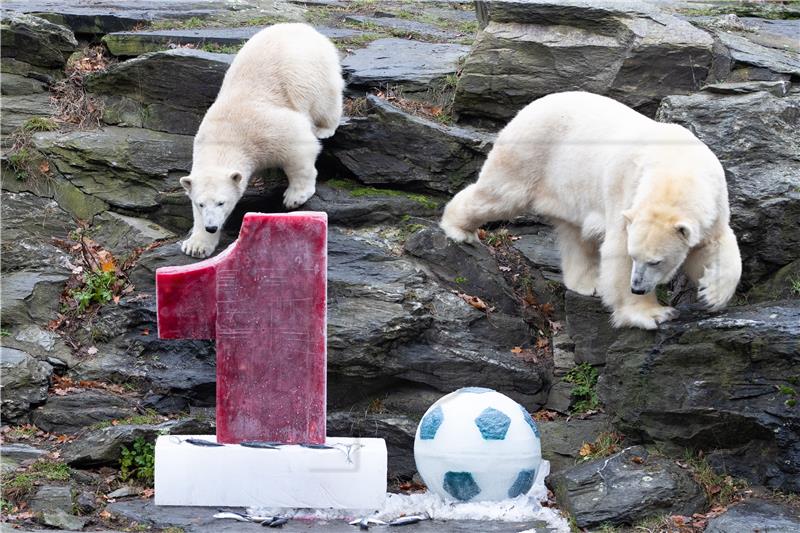 GERMANY ANIMALS POLAR BEAR