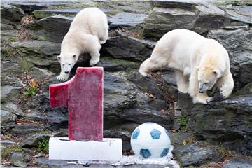 GERMANY ANIMALS POLAR BEAR