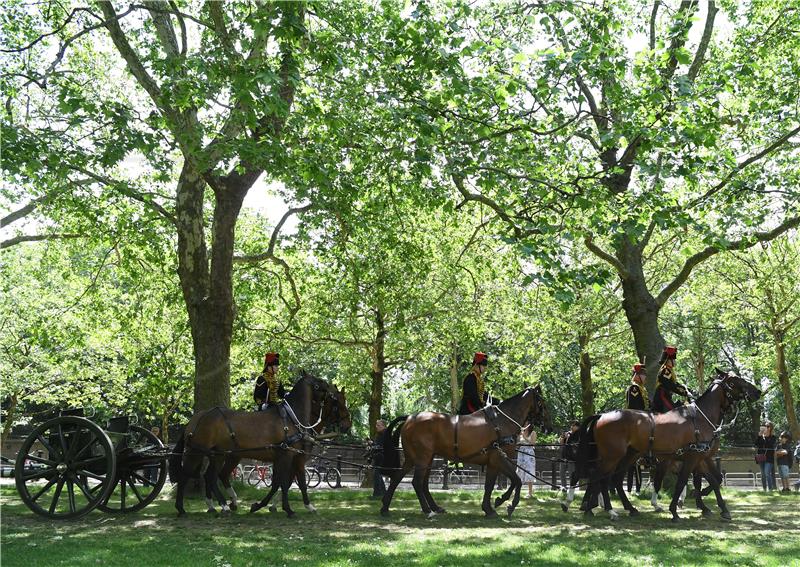 Britanski veterinari: Konji dobivaju na težini zbog klimatskih promjena 