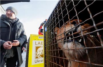 UKRAINE SOUTH AFRICA LIONS