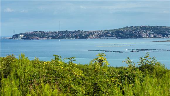 Savudrija Bay fishermen welcome EU Court of Justice advocate general's opinion