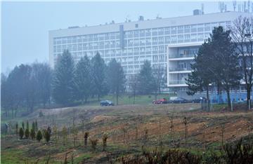 Posađeno 80 sadnica za budući Terapijski park karlovačke Opće bolnice