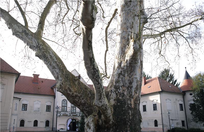 Park oko dvorca Lužnica zaštićeno područje