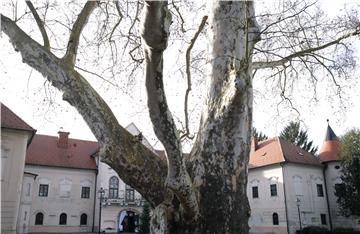 Park oko dvorca Lužnica zaštićeno područje