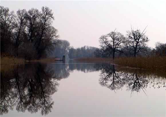 Osijek: Za potpore u poljoprivredi gotovo dva milijuna kuna