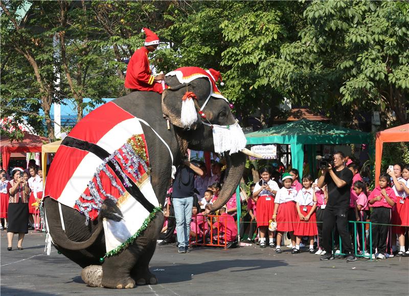 Elephants dressed as Santa Claus help celebrate Christmas in Ayutthaya, Thailand