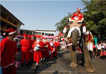 Elephants dressed as Santa Claus help celebrate Christmas in Ayutthaya, Thailand