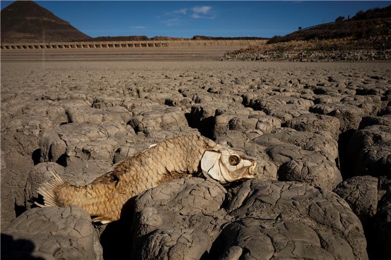 SOUTH AFRICA DROUGHT