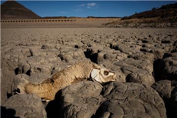 SOUTH AFRICA DROUGHT