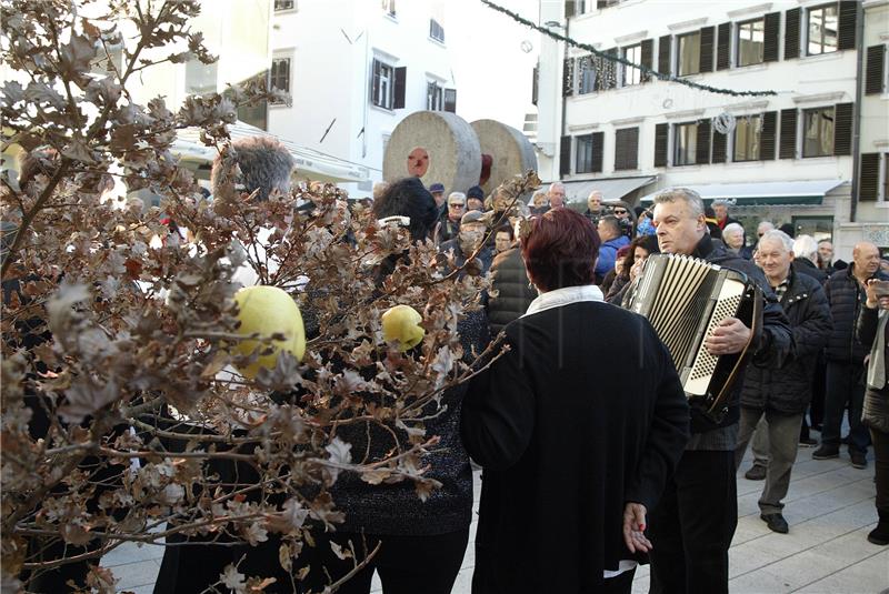 Rijeka: Badnjak po Julijanskom kalendaru