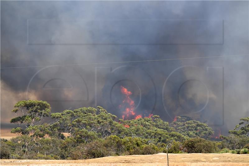 AUSTRALIA KANGAROO ISLAND BUSHFIRES