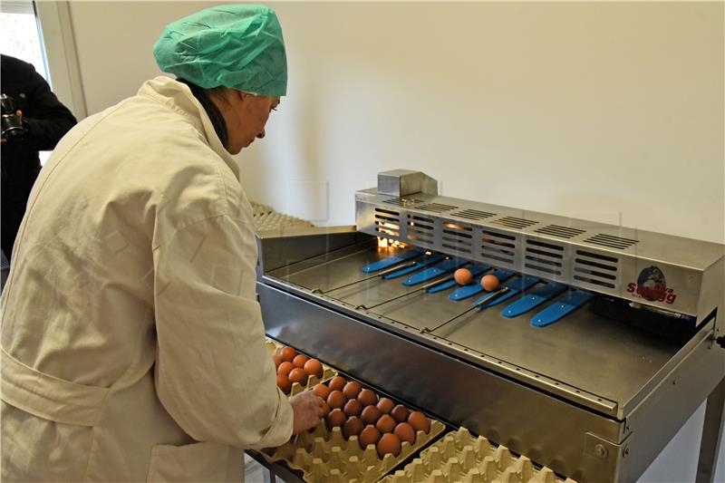 €600,000 packaging plant for free-range eggs opened