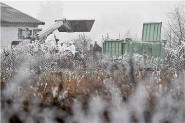 H5N8 strain of bird flu detected at farm in Hungary