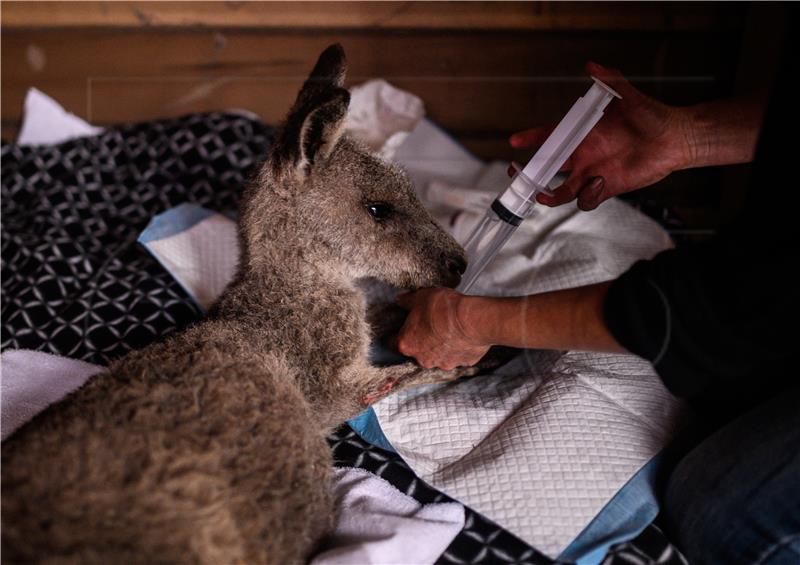 AUSTRALIA BUSHFIRES PEOPLE