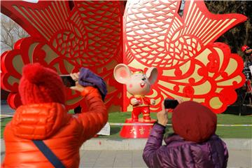 CHINA LUNAR NEW YEAR