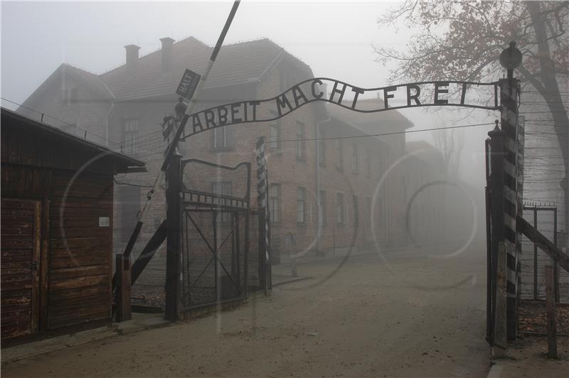 POLAND PHOTO SET HOLOCAUST AUSCHWITZ LIBERATION