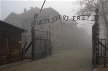 POLAND PHOTO SET HOLOCAUST AUSCHWITZ LIBERATION