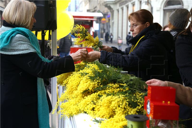 Zagreb: Obilježen 13. Dan mimoza