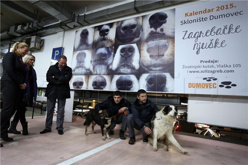 1,100 animals from Dumovec shelter found new home in 2019