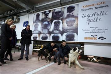 1,100 animals from Dumovec shelter found new home in 2019