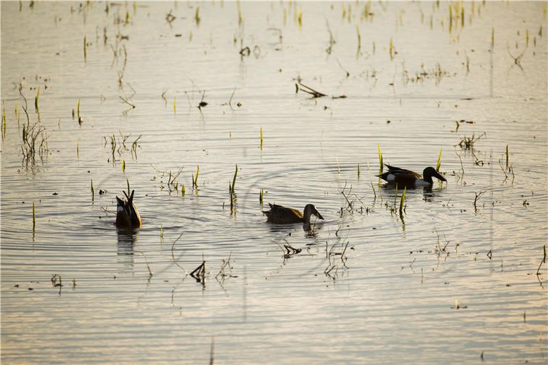 SPAIN WORLD WETLANDS DAY