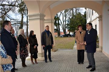 Daruvarski "Zaljubljeni ginko" kandidat za Europsko stablo godine