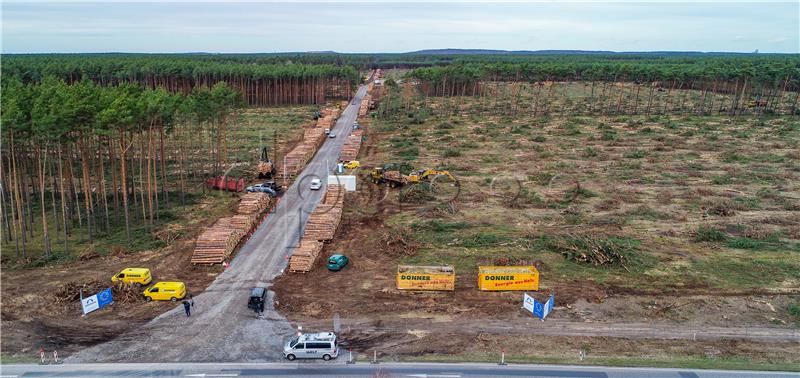 Tesla mora obustaviti sječu šume na mjestu planirane tvornice u Njemačkoj 