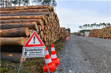 Tesla plant construction site in Germany