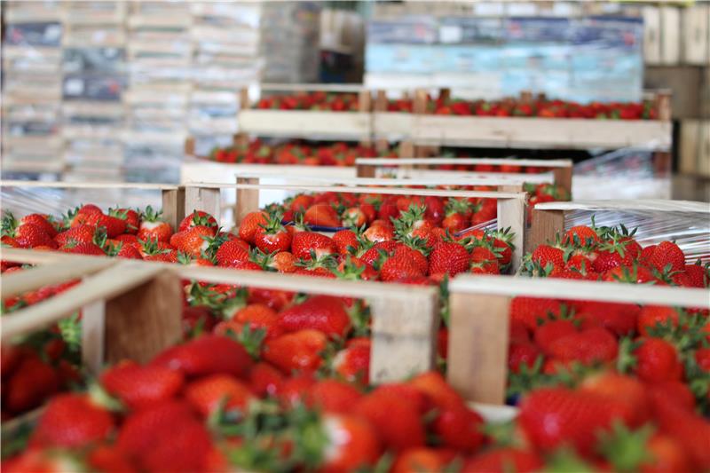 Croatia's agricultural producer prices up 2.4% in Q4 2019