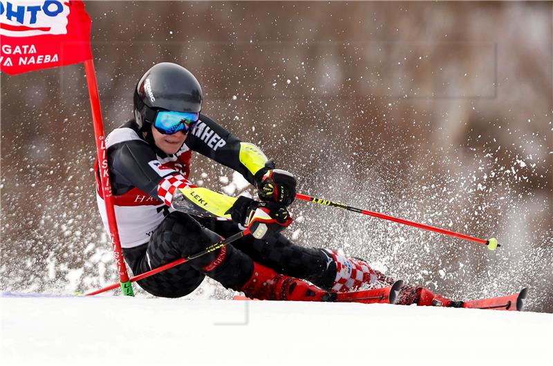 Skijanje: Zubčić pobijedio u veleslalomu u Japanu