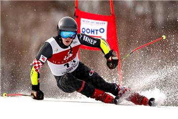 JAPAN ALPINE SKI WORLD CUP