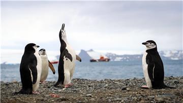 ANTARCTICA PHOTO SET CLIMATE CRISIS