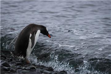 ANTARCTICA PHOTO SET CLIMATE CRISIS