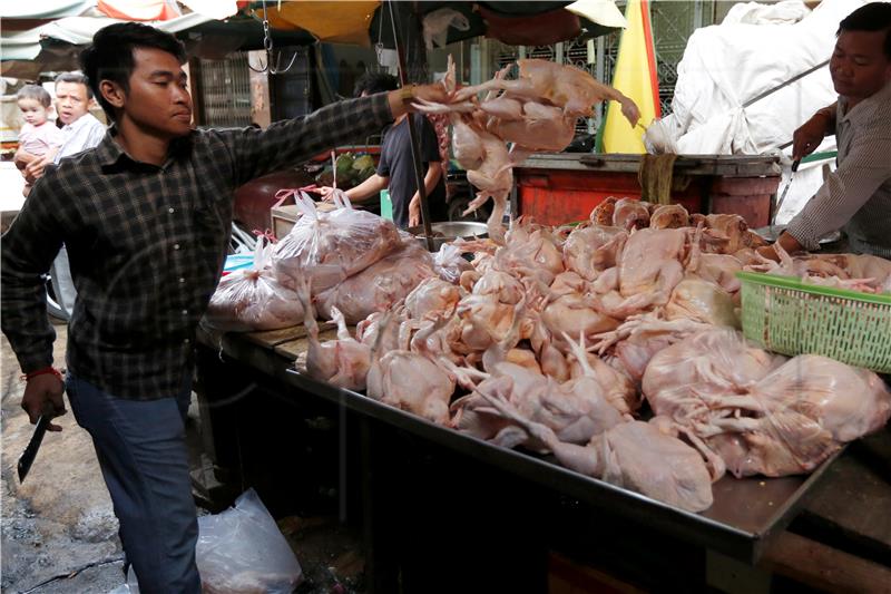 CAMBODIA HEALTH BIRD FLU