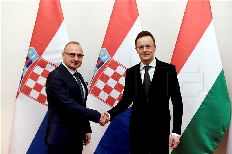 Croatian, Hungarian FMs talk fight against illegal migration