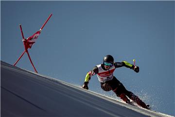 AUSTRIA ALPINE SKIING WORLD CUP