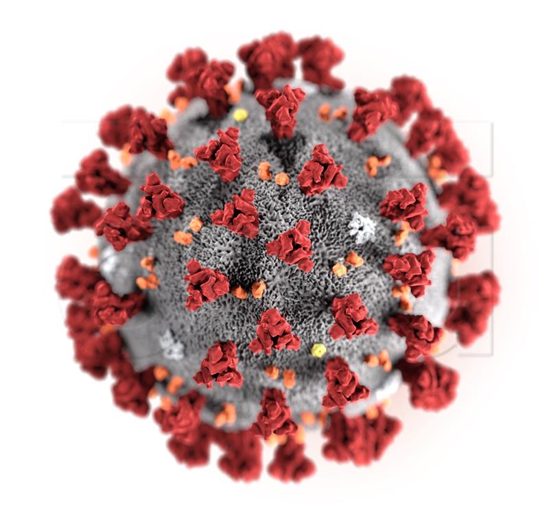 13th coronavirus patient identified in Croatia