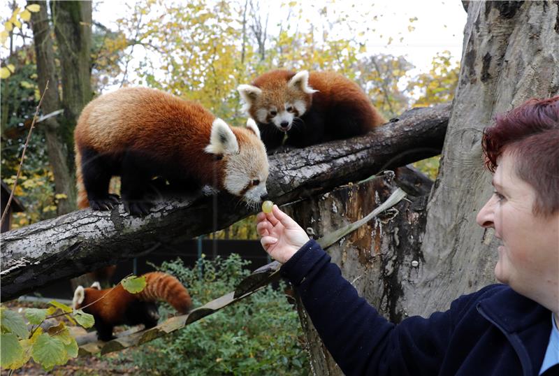 Zagrebački ZOO zatvoren za posjetitelje