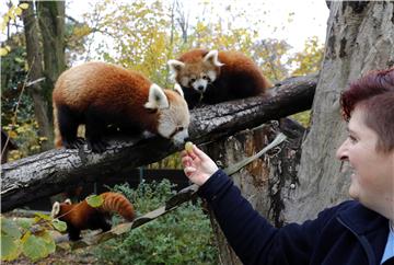 Zagrebački ZOO zatvoren za posjetitelje