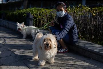 Hong Kong: Pas koji je navodno imao koronavirus uginuo