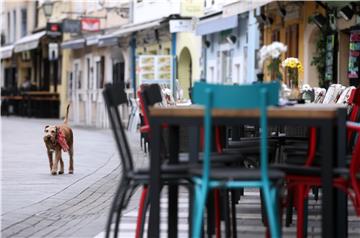 Skloništa za udomljavanje životinja "pucaju po šavovima"