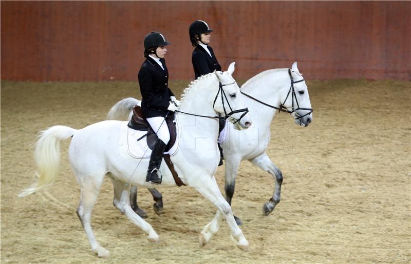 Lipizzan horse breeding traditions proposed for UNESCO list